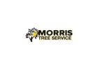 Tree Service in Citrus County for Safe and Clean Outdoor Spaces