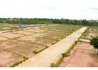 Authority plots in greater noida West Price