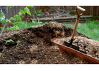 Care for Your Plants with Top Garden Supplies in Adelaide