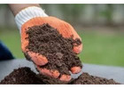 Clay soil Australia