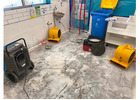 Top Flooded Carpet Restoration Experts for Water Damage Recovery