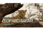 Book Best Leopard Safari in Jaipur for Wildlife Adventure