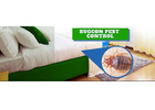 Pest Control for Bedbugs in Jaipur Safe Fast Service Experts