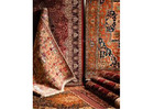 Jansons Carpets Offers Best Wool Carpets for Sale with Premium Craftsmanship