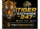 How to make the most of TigerEx247: How to make the most of TigerEx247