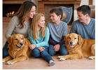 Cherish Professional Residential Carpet Cleaning in Adelaide