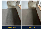 Need Professional Carpet Cleaning in Adelaide? We’ve Got You Covered