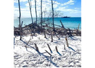 Golf Cart Rentals in Bradenton Beach FL Easy Ride Solution