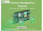 Content Management System (CMS) Solutions for Easy Website Management