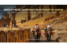 Complete guide on Elephant Village