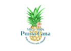 Airport transportation from punta cana
