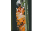 Indian Wedding Photographer DMV Capturing Timeless Love Stories
