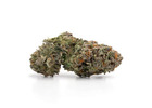 Order Master Kush Online with Discreet Shipping