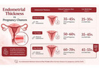 Thin Uterine Lining and Fertility: Can You Conceive?
