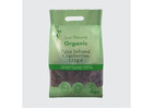Buy Quality Organic Sweetened Dried Cranberries Online Today