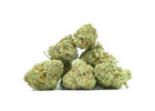 Double OG Popcorn Strain: Aroma, Flavor, and What to Expect
