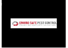 wasp removal Melbourne