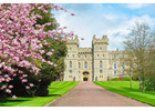 Leeds Castle from London with a Private Chauffeur Experience
