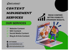 Grow Your Online Presence With Content Management Services Florida