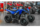 ATV, Trailmaster for Kids & Teens | Mid-Size ATV for Youth?