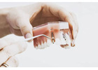 Book an Appointment with an Experienced Dentist Carlton