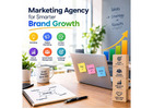 Lafayette Marketing Agency for Smarter Brand Growth