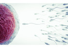 IUI Treatment Cost in Delhi - Dr Rhythm Gupta