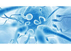 Male Fertility Tests in Delhi - Dr Rhythm Gupta