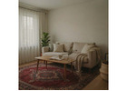 Jansons Carpets Explains Types of Kashmiri Carpets and Selection Tips