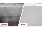 Trusted Mould Remediation in Adelaide