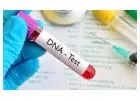 Professional DNA Testing Services - Unlock the Secrets of Your Genetics!