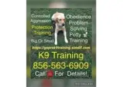 K9 trainer for hire