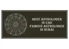 Best Astrologer In Liwa Oasis 
