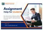 Are You Searching for Online Assignment Help for students?