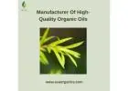 Manufacturer of High-Quality Organic Oils