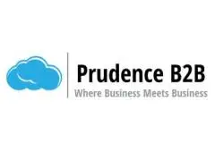 Salesforce Implementation Services | Prudence B2B