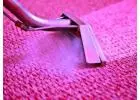 Best Carpet Cleaning Services in Silverdale